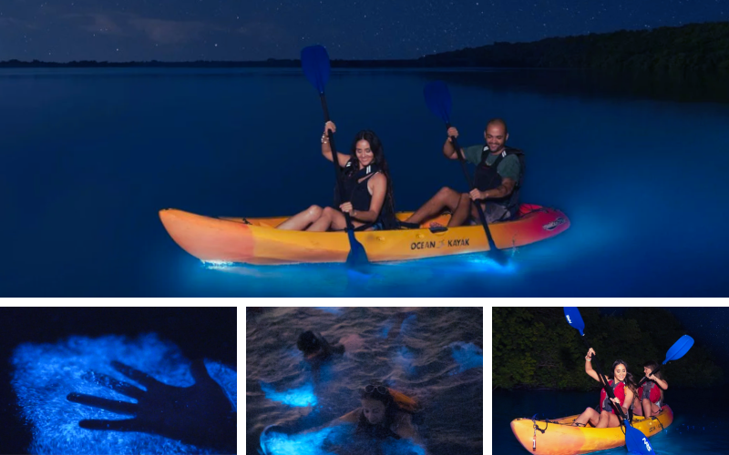 Puerto Rico's bioluminescent bays Kayaking in Puerto Rico's bioluminescent bays